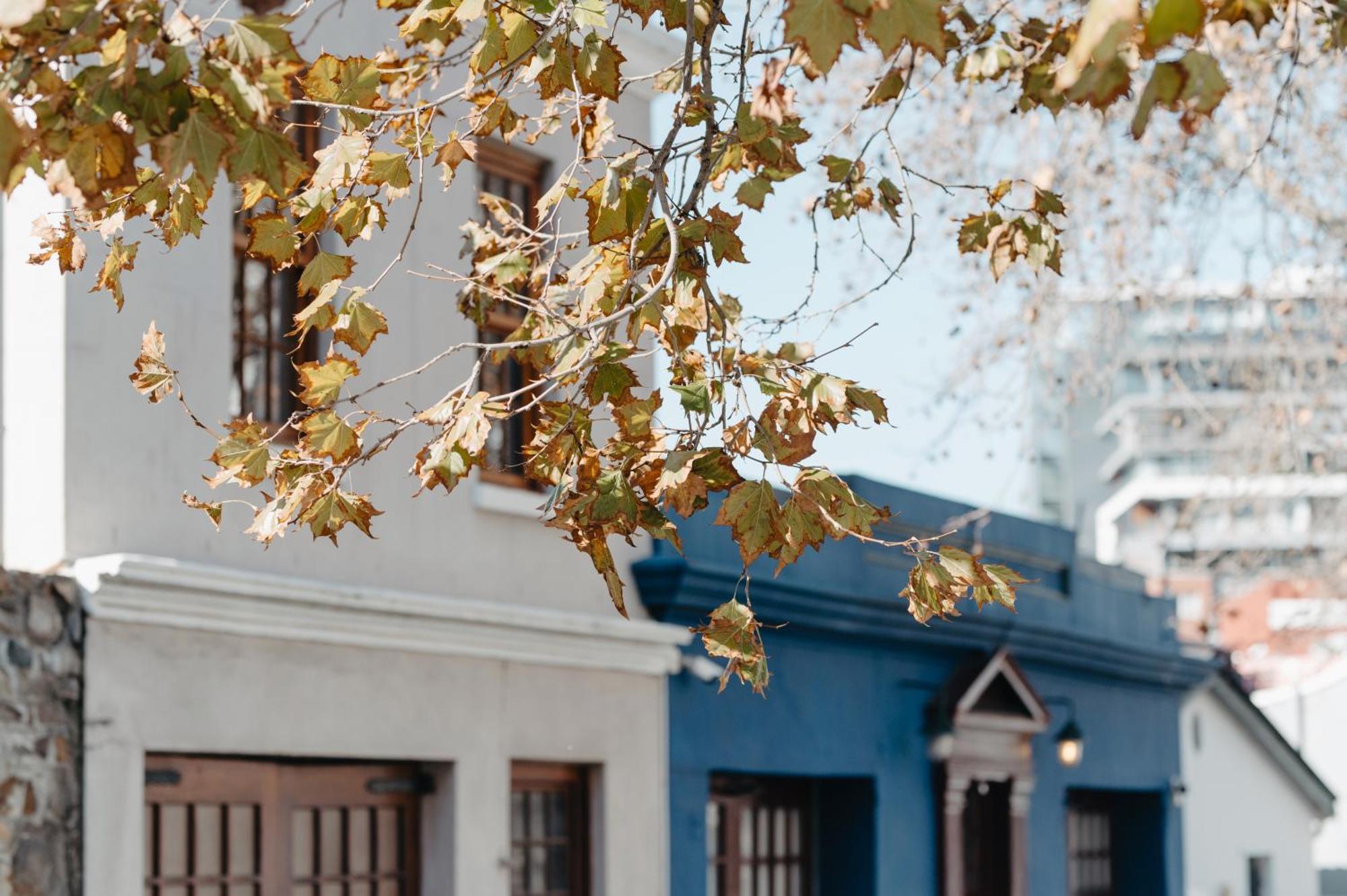 Cape Finest Guest House Located In De Waterkant Cape Town Cameră foto
